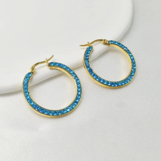 1 Pair IG Style Elegant Sweet Circle 304 Stainless Steel Earrings