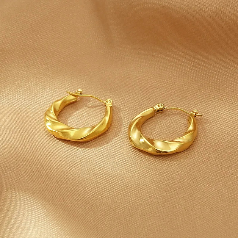 1 Pair Simple Style Solid Color Irregular Stainless Steel Earrings